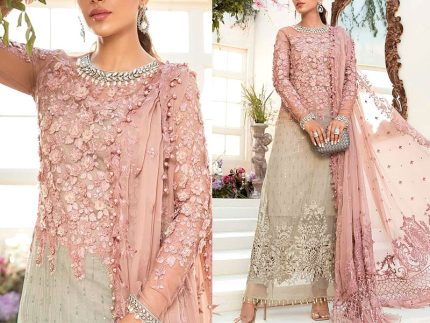 Luxury Embroidered Black Chiffon 2023
