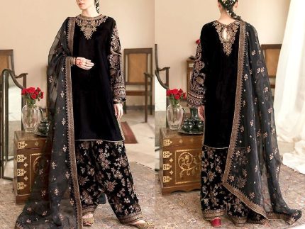 3D & Handwork Heavy Embroidered Ombre