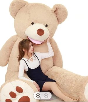 teddy