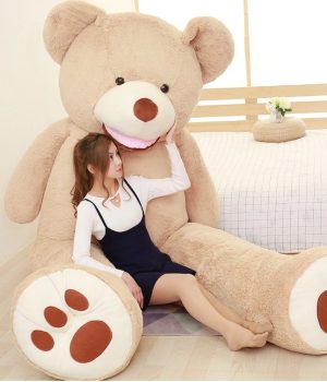 teddy
